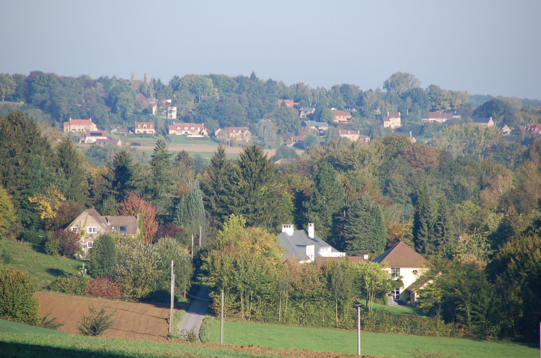 DSC_1637.jpg